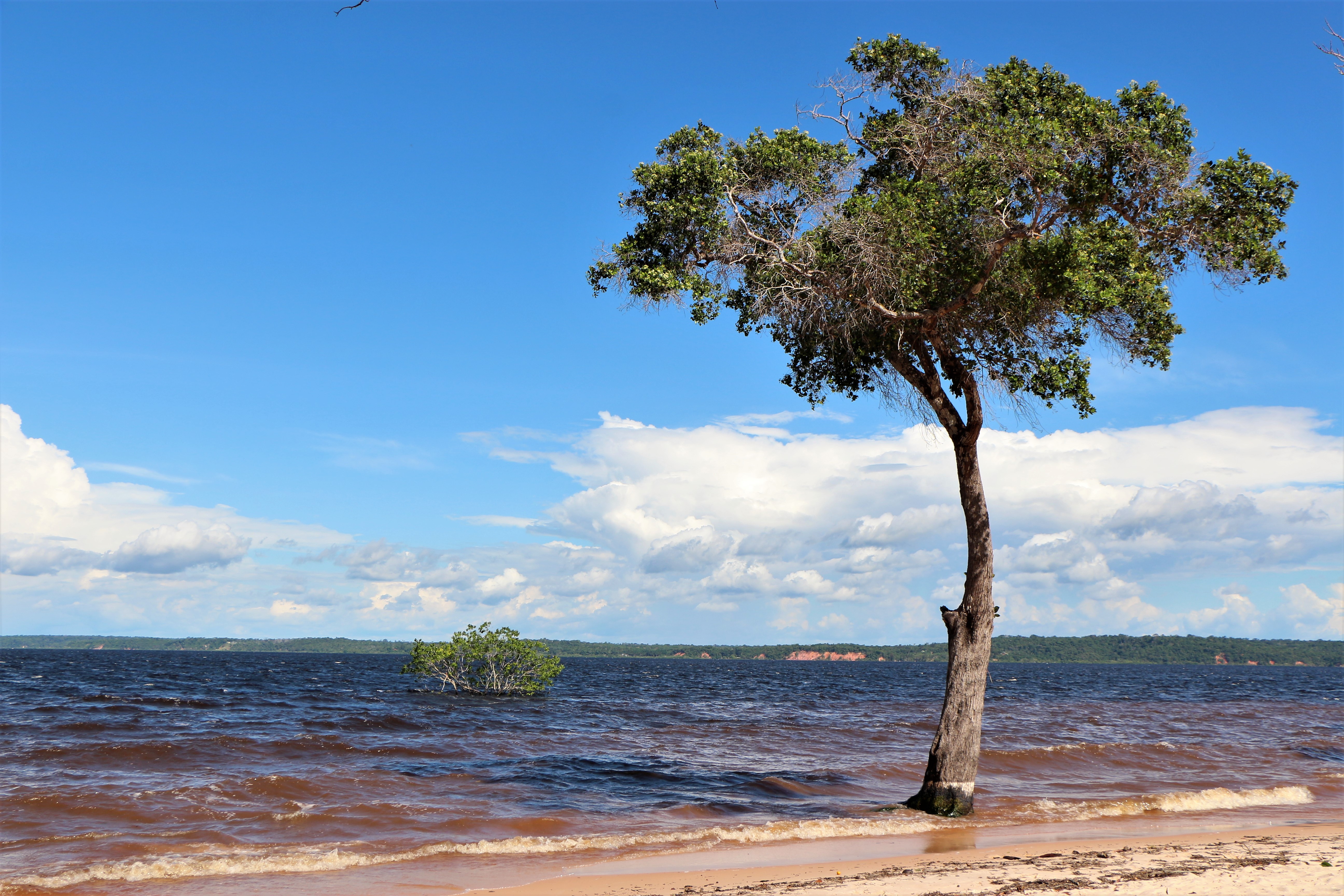 Praia do Tupé - RDS do Tupé, Amazonas