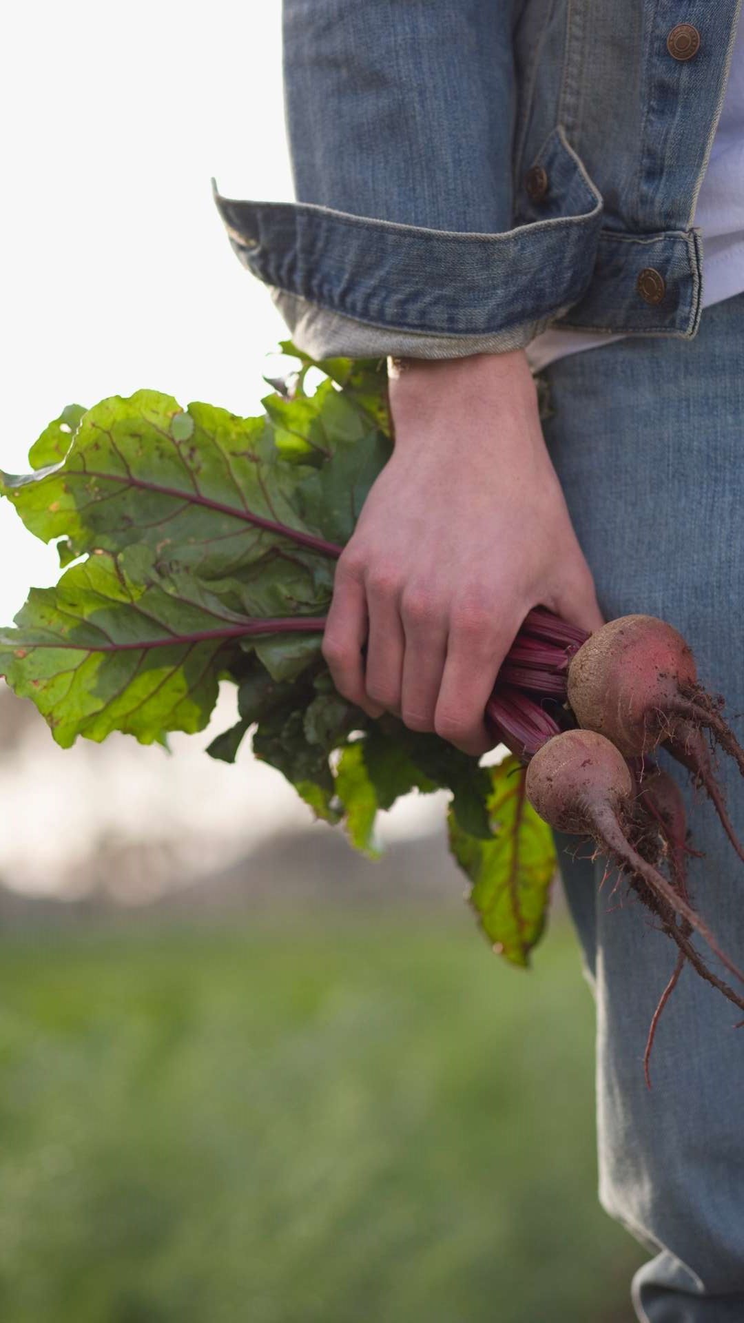 Beet, beterraba!