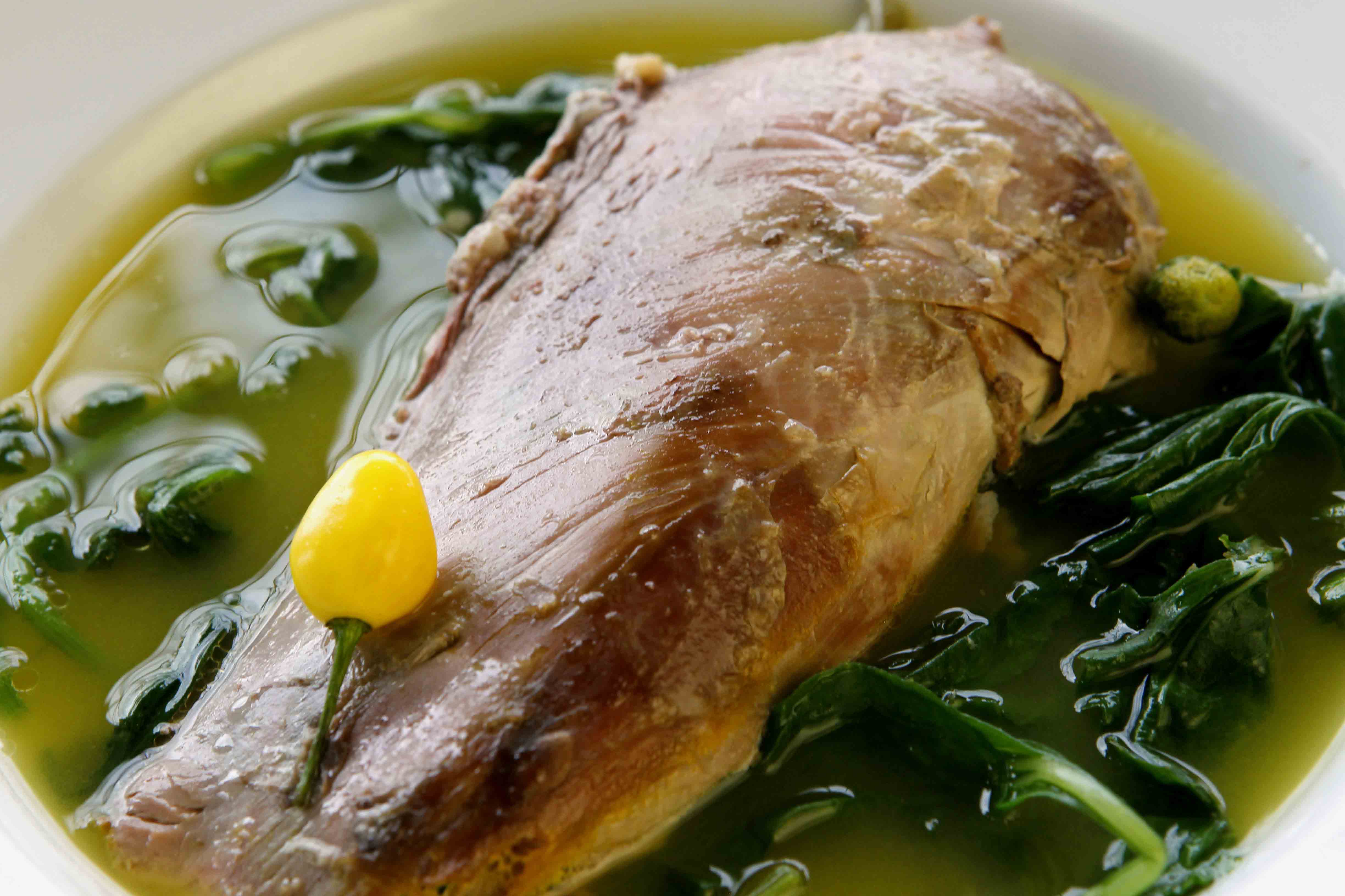 Pato no tucupi: gastronomia paraense é motivo de orgulho nacional Pato no tucupi: gastronomia paraense é motivo de orgulho nacional