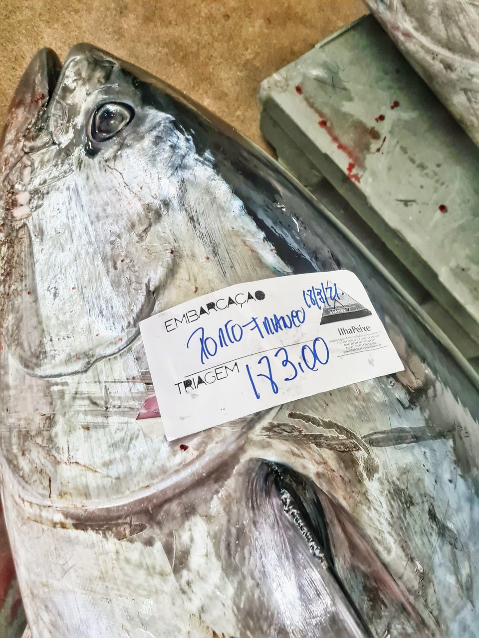 Rastrear os alimentos é descobrir detalhes sobre a cadeia do alimento: de onde vem o pescado que você serve aos seus comensais? Rastrear os alimentos é descobrir detalhes sobre a cadeia do alimento: de onde vem o pescado que você serve aos seus comensais?